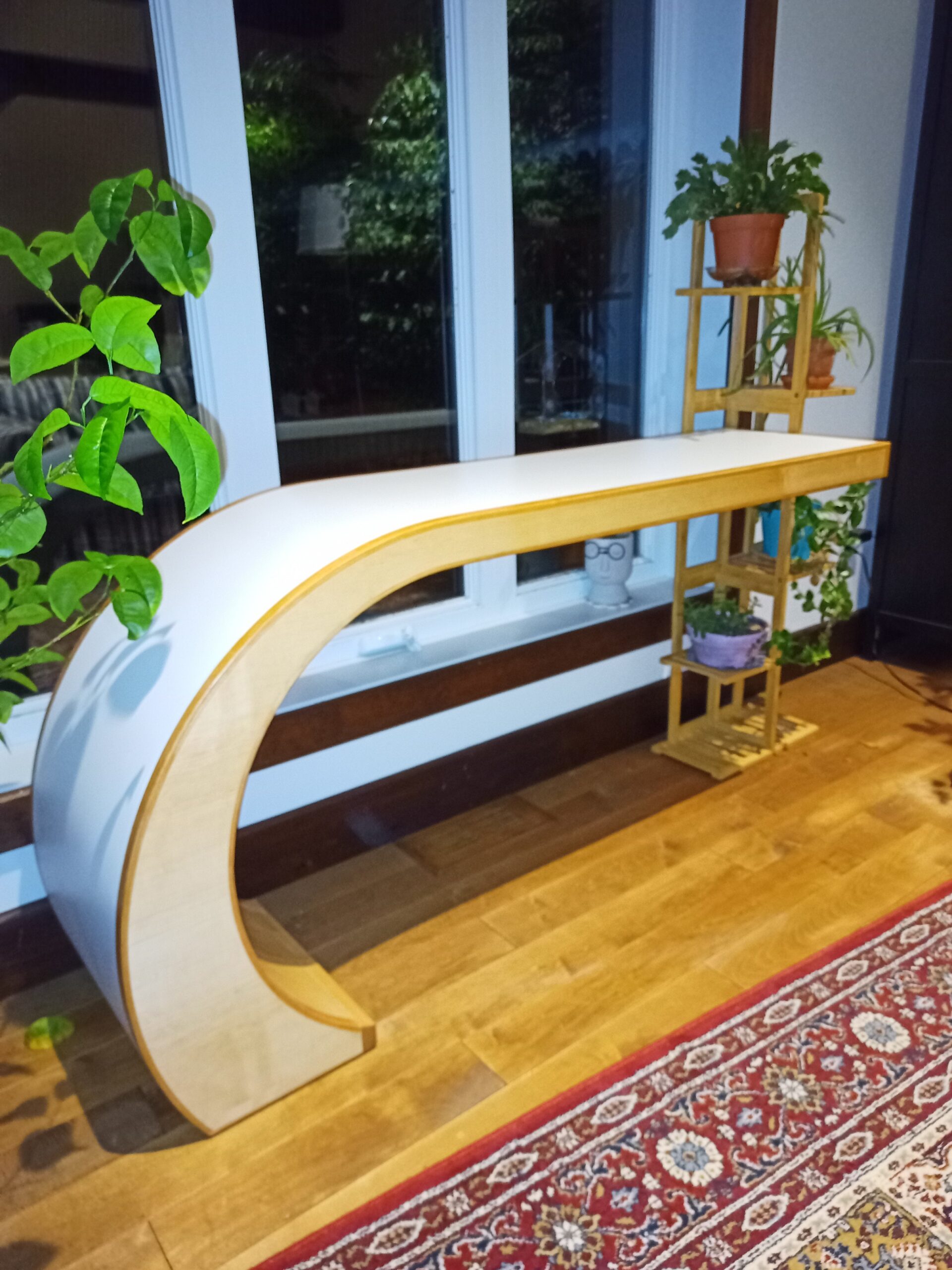 IMG_20240221_183446_009